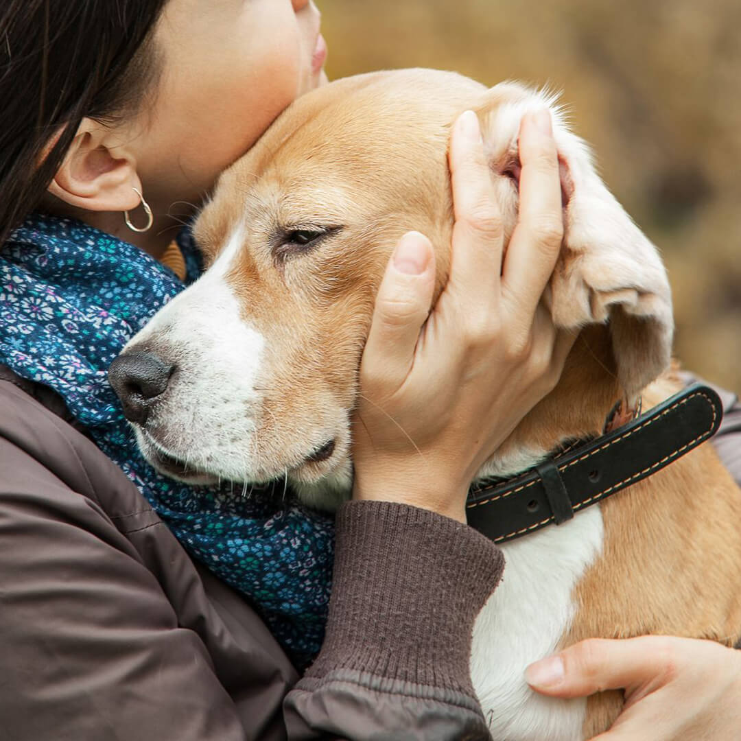 A woman with an old dog