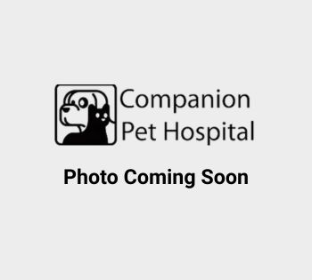 Coming soon image