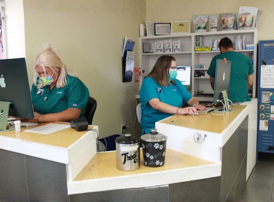 Companion Pet Hospital staff Companion Pet Hospital staff